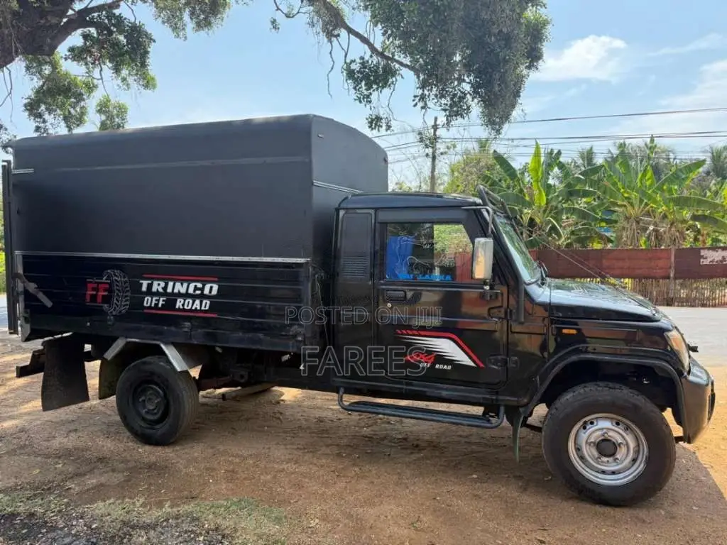 Mahindra Mahindra 2019 Lorry (Used)