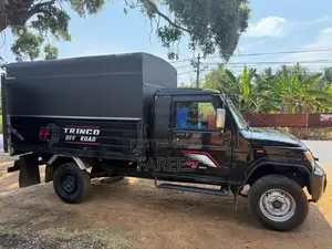 Mahindra Mahindra 2019 Lorry (Used)
