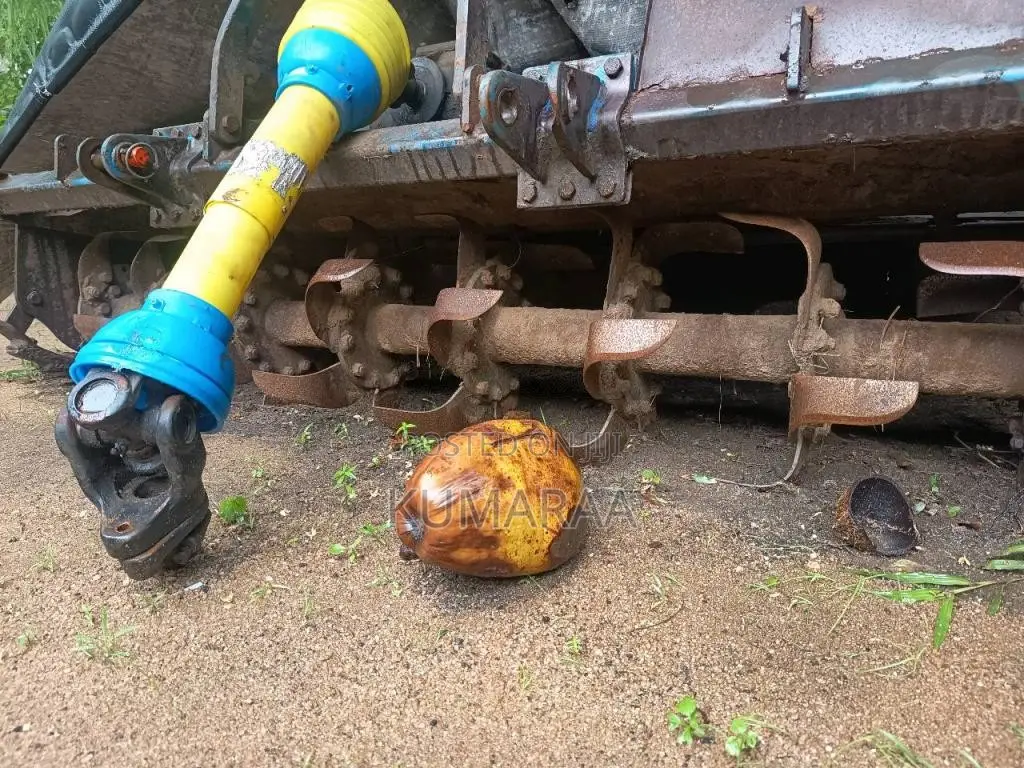 Sonalika Dl 50 Rx 2019 Tractor (Used)