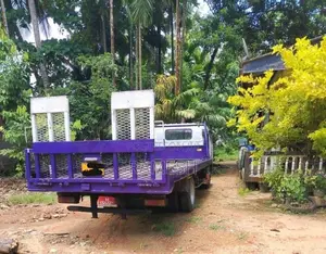 Isuzu Cariyer 1992 Lorry (Used)