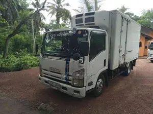 Isuzu ELF 2011 Lorry (Used)