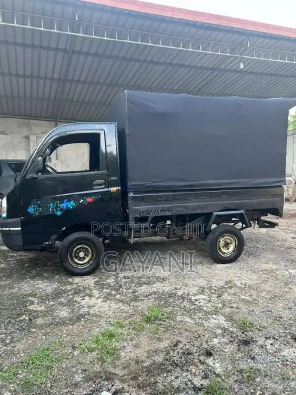 Mahindra Maxximo Plus 2013 Lorry (Used)