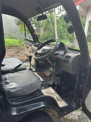 Mahindra Maxximo Plus 2013 Lorry (Used)