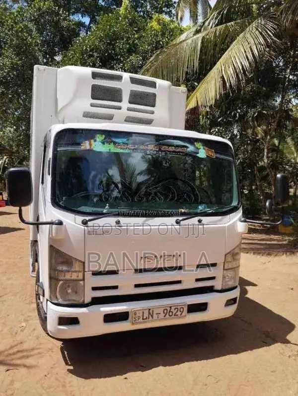 Isuzu Elf 2019 Lorry (Used)