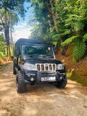 Mahindra Bolero 2019 Pickup (Used)