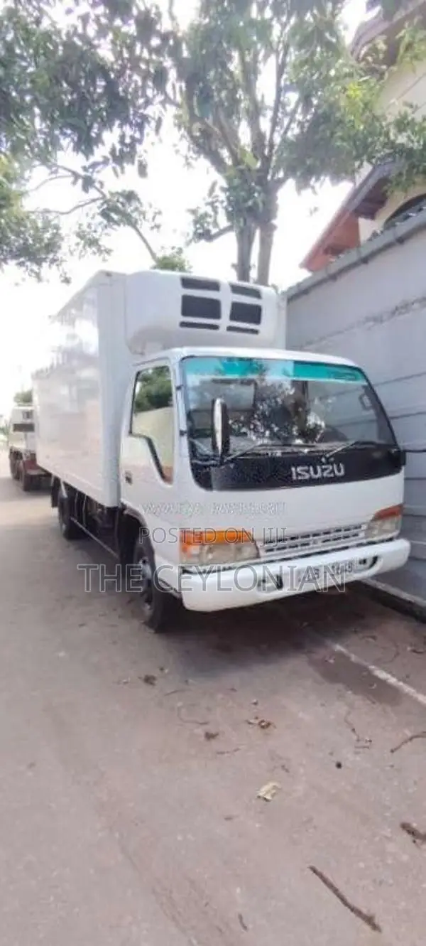 Isuzu ELF Freezer 2001 Lorry (Used)