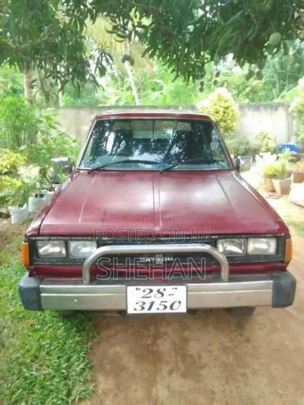 Nissan Datsun 1983 Pickup (Used)