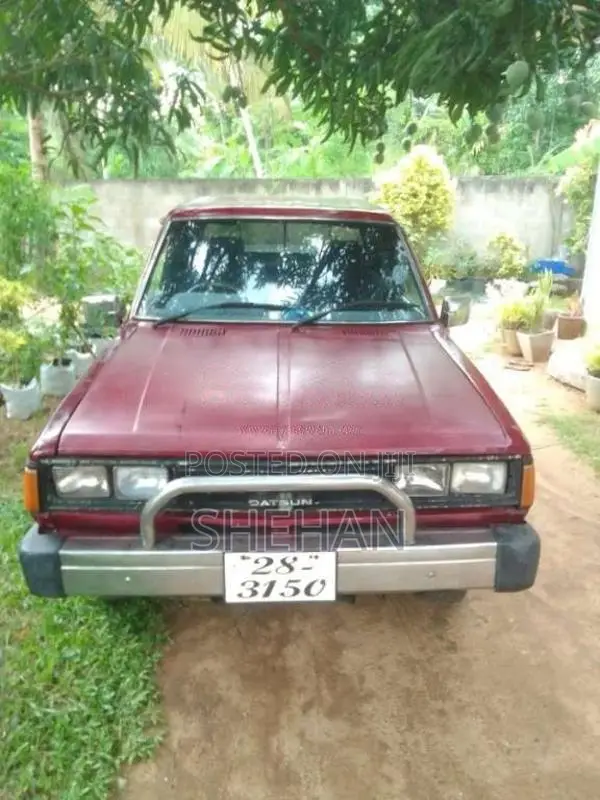 Nissan Datsun 1983 Pickup (Used)