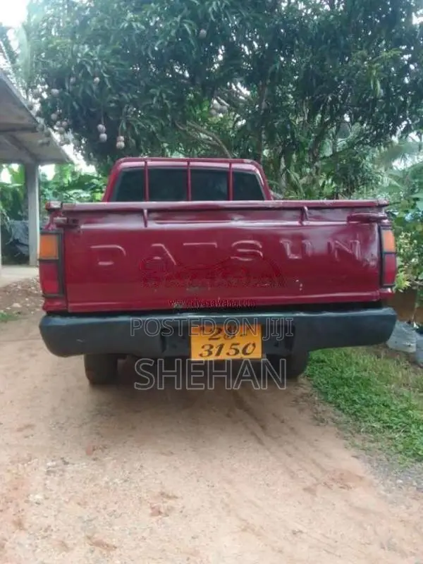 Nissan Datsun 1983 Pickup (Used)