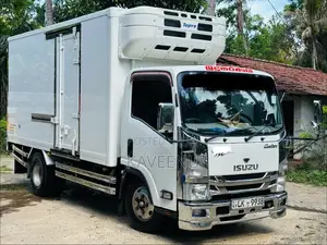 Isuzu ELF Freezer 2009 Lorry (Used)