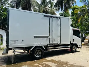 Isuzu ELF Freezer 2009 Lorry (Used)