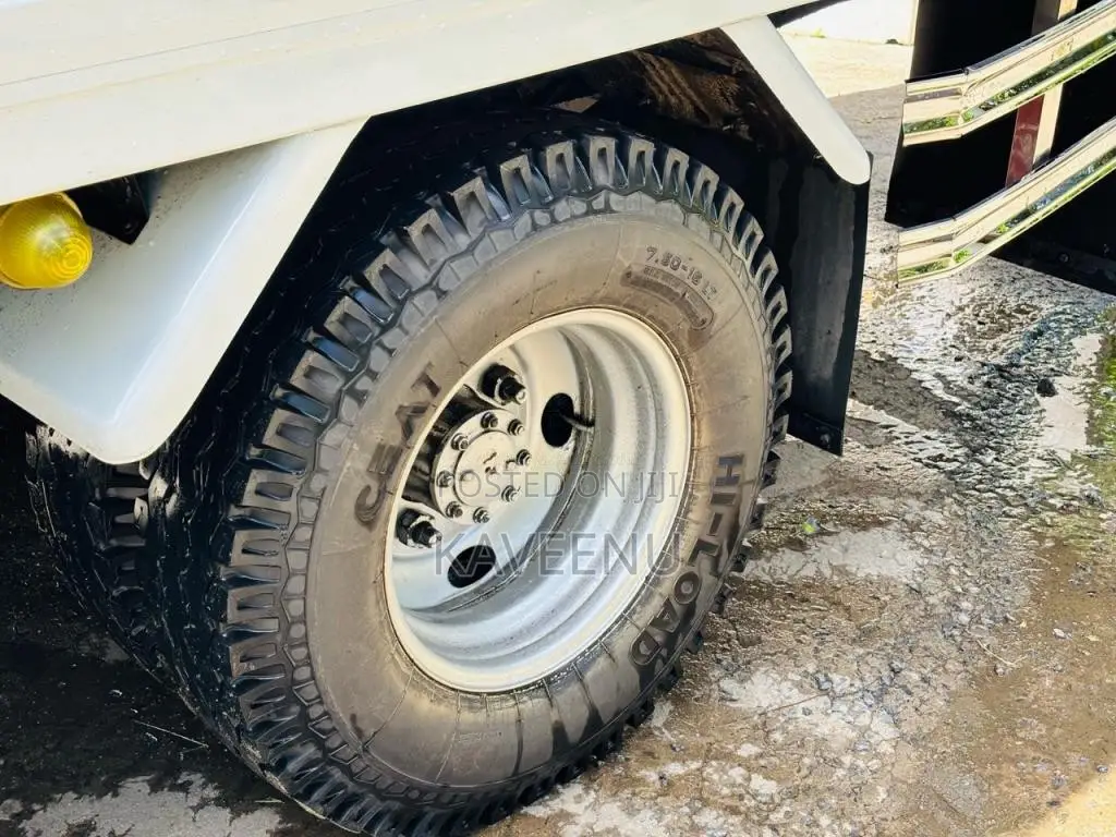 Isuzu ELF Freezer 2009 Lorry (Used)