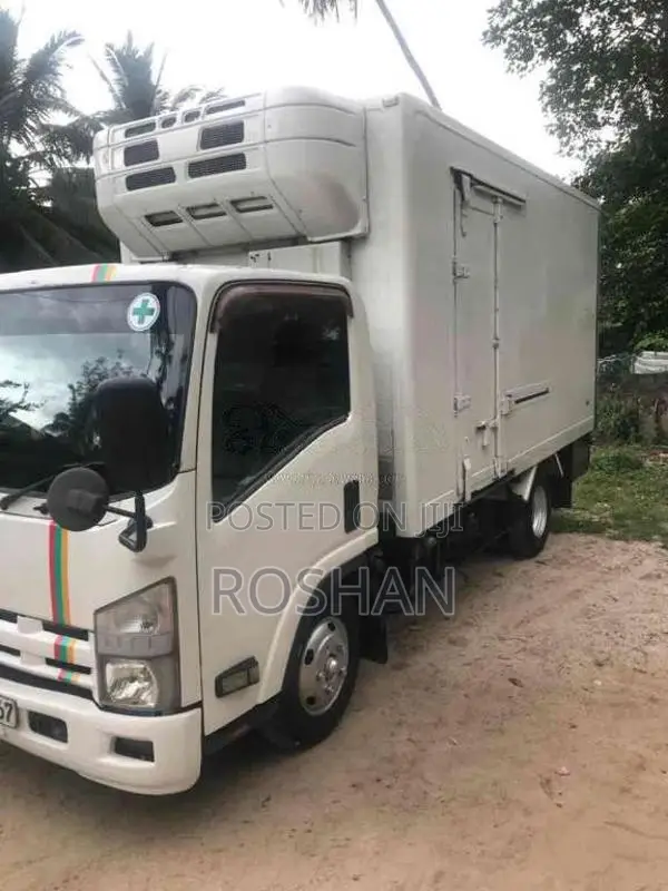 Isuzu ELF 2009 Lorry (Used)