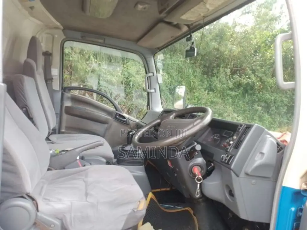 Isuzu NPR 2009 Lorry (Used)