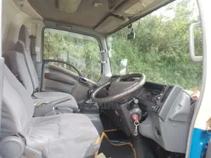 Isuzu NPR 2009 Lorry (Used)