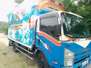 Isuzu NPR 2009 Lorry (Used)