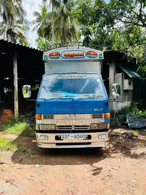 Isuzu ELF 250 1992 Lorry (Used)