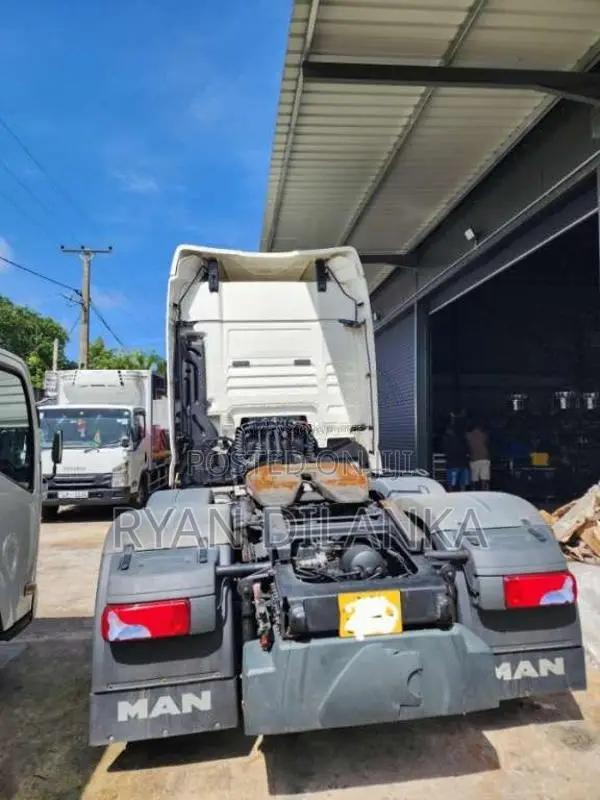 DAF TGX Heavy-Duty (Used)