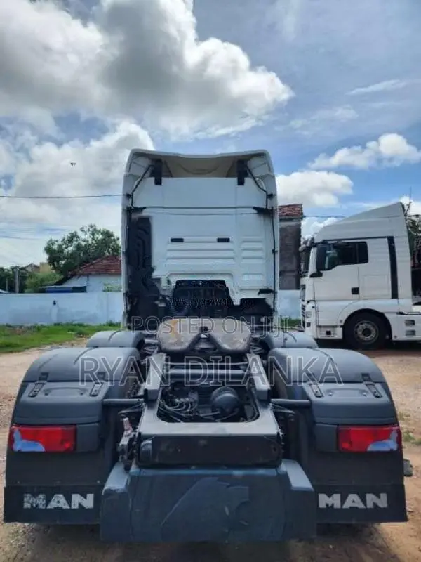 DAF TGX Heavy-Duty (Used)