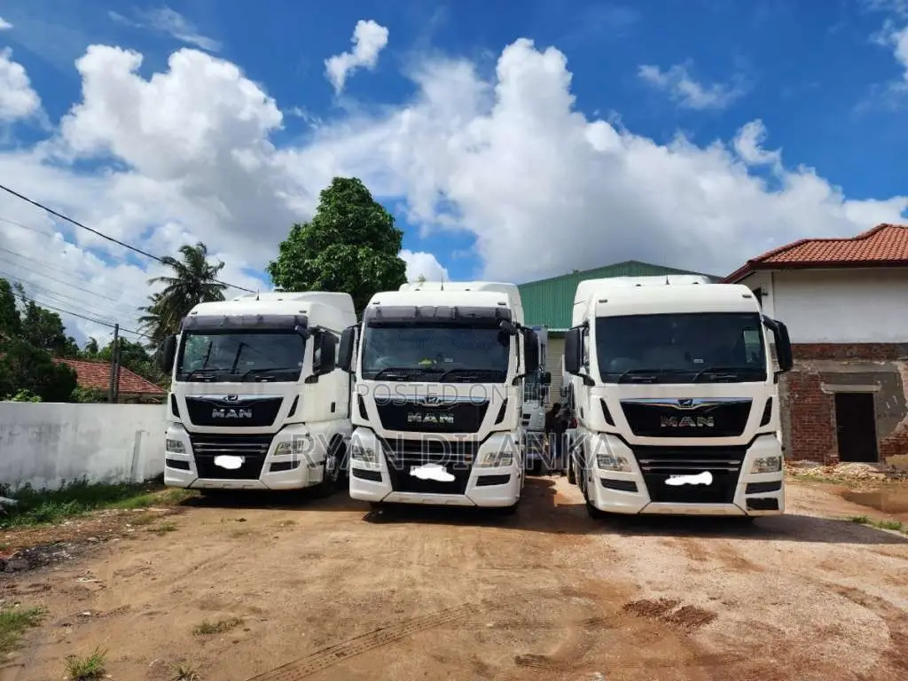 DAF TGX Heavy-Duty (Used)