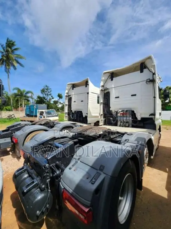 DAF TGX Heavy-Duty (Used)