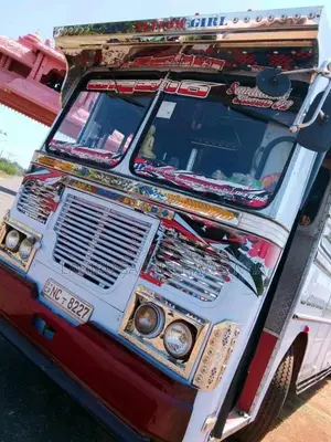 Ashok-Leyland Leyland 2010 Bus (Used)