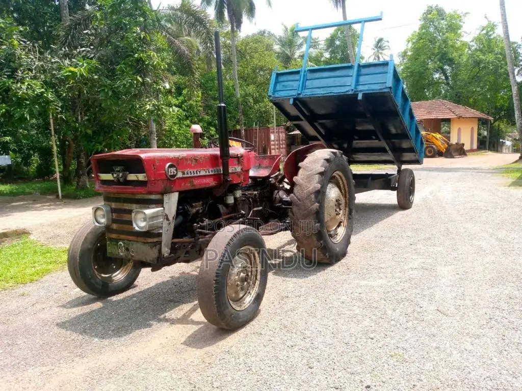 Massey-Ferguson 135 1988 Tractor (Used)