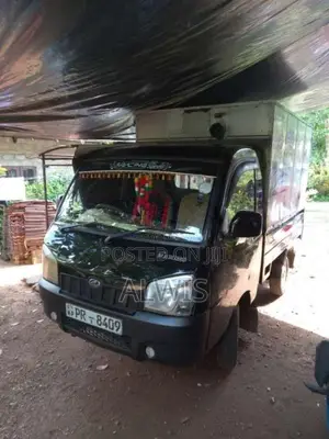 Mahindra Maxximo Plus 2011 Lorry (Used)