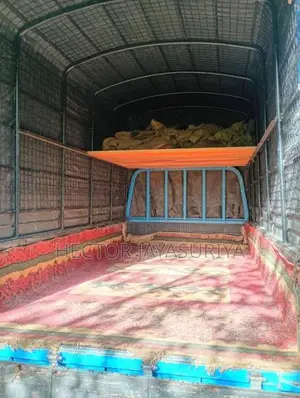 Isuzu ELF 1984 Lorry (Used)