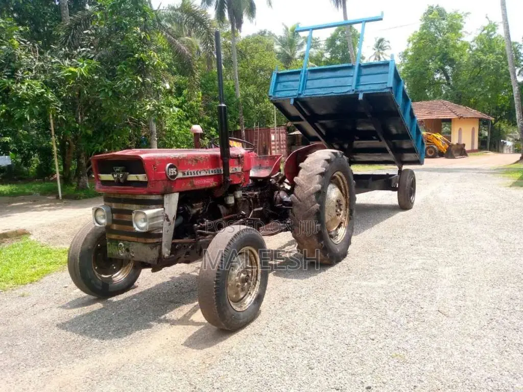 Massey-Ferguson 135 1984 Tractor (Used)