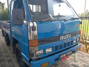 Isuzu Elf 1989 Lorry (Used)