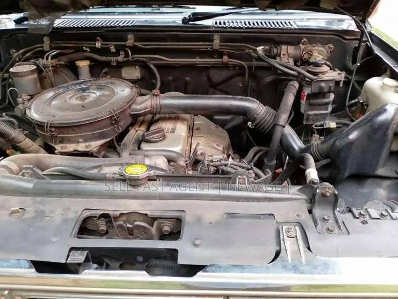 Nissan Double Cab 1983 Pickup (Used)
