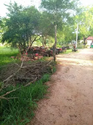 TAFE Sifang 2018 Tractor (Used)