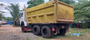 Tata 2516 2009 Lorry (Used)