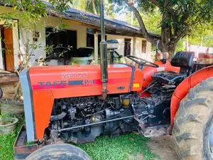TAFE 45DI 2017 Tractor (Used)