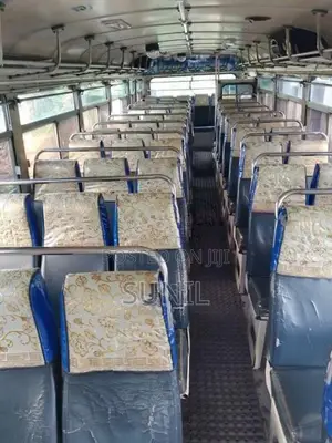 Ashok-Leyland Viking 2013 Bus (Used)