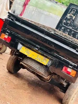 Mahindra Maxximo 2013 Lorry (Used)