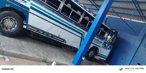 Ashok-Leyland Viking 2018 Bus (Used)