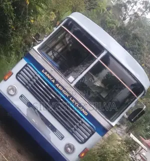 Ashok-Leyland Comet 1994 Bus (Used)