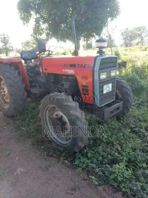 TAFE 45DI 2019 Tractor (Used)