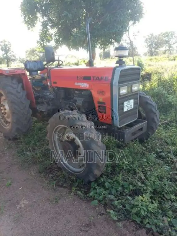 TAFE 45DI 2019 Tractor (Used)