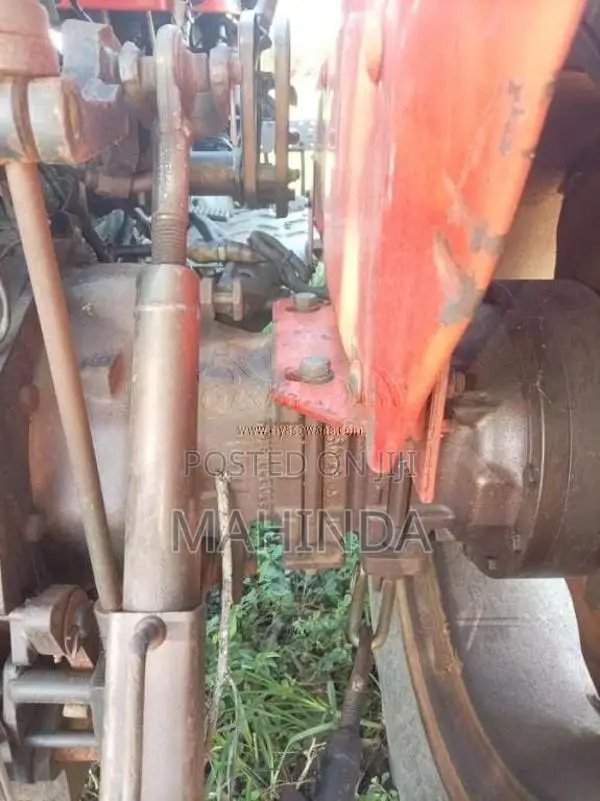 TAFE 45DI 2019 Tractor (Used)