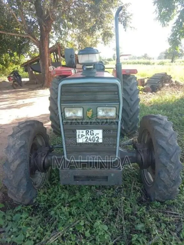 TAFE 45DI 2019 Tractor (Used)