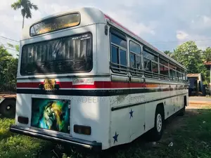 Ashok-Leyland Viking 2008 Bus (Used)