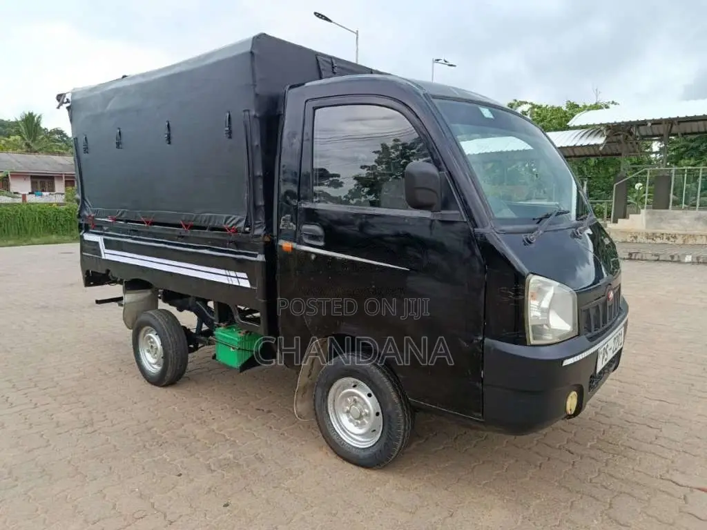 Mahindra Maxximo 2011 Lorry (Used)