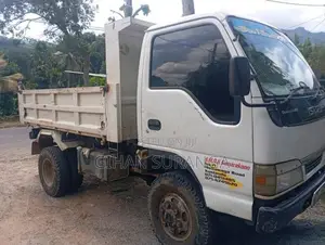 Isuzu Tipper 1999 Lorry (Used)