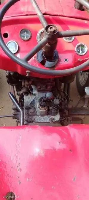 Massey-Ferguson 135 1978 Tractor (Used)