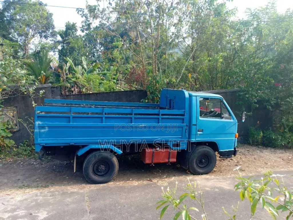 Isuzu ELF 1980 Lorry (Used)