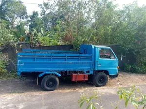 Isuzu ELF 1980 Lorry (Used)
