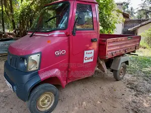 Mahindra Gio 2010 Lorry (Used)